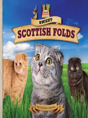 cover image of Sweet Scottish Folds